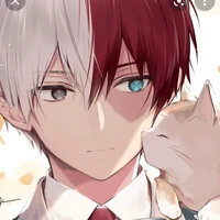 todoroki