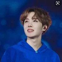 jung hoseok ( jhope ).