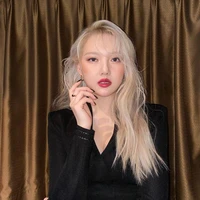 JUNG YERIN BRIGHT (ISTRI  D.O)