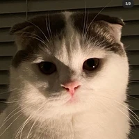 💙แอด💙