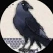 Winter crow (Y/n