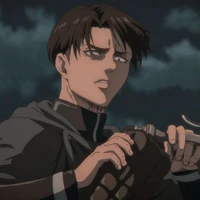 Levi