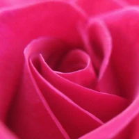 All