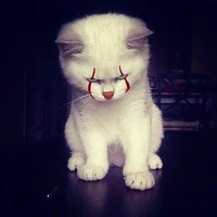 มารุมารุ[แอด+ระบบ]