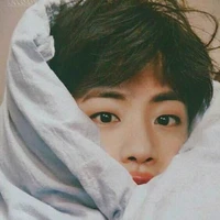 Seokjin/Jin