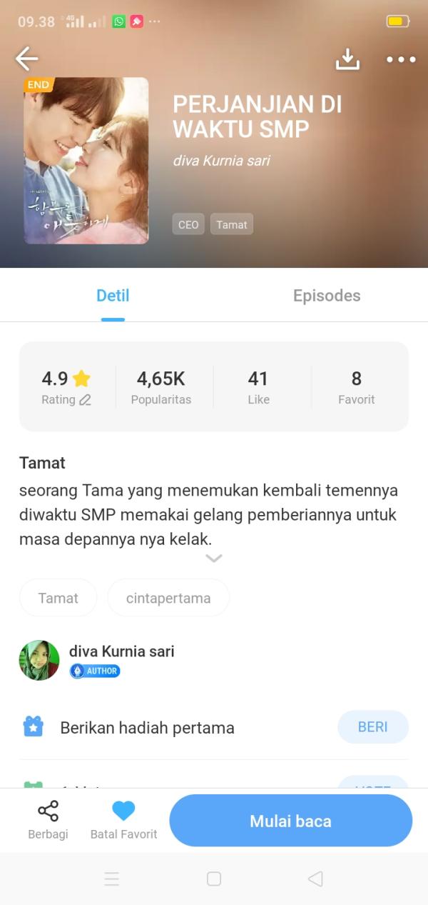NovelToon
