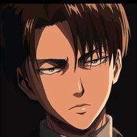 Levi