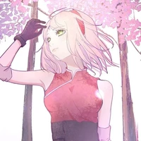 Sakura