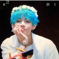 tae/v