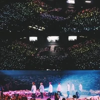 army
