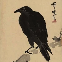 Kasugai Crow