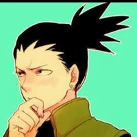 shikamaru (alfa d)