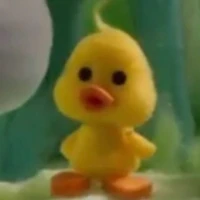 Chichi 🦆
