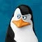 Skipper