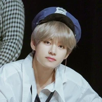 V🐯