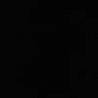 Guards/Maids/Workers