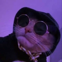 AuthorMeow