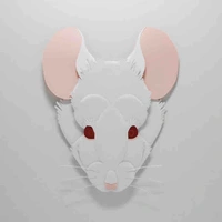 Rats