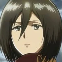 mikasa