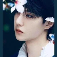 👑😍Wang Yibo Smith Phantomhive18(GDPN)R