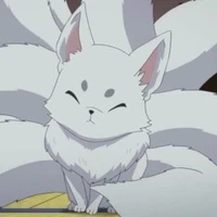Ginji ( musang)