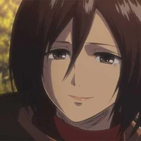 mikasa