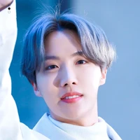 Jung Hoseok(J -hope)