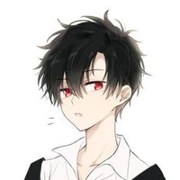 Writer (Author)