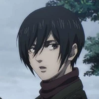 Mikasa