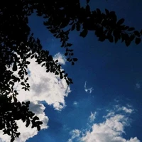 ตัวปลากอบ