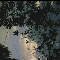 ผู้กำกับ