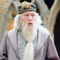 Professor Dumbledore