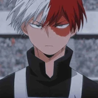 Shoto todoroki