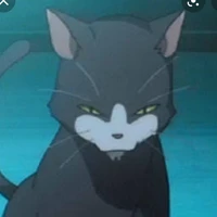 ?Mysterious Cat?