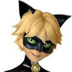 Cat Noir