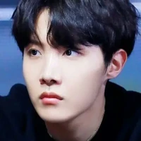 hobi