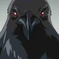 Y/ns crow :)