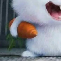 Carrot