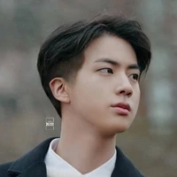 kim seokjin