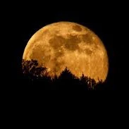 moonlight