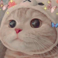 kucing (mochi)