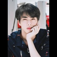 Kim Seok Jin Alexsander
