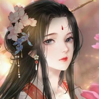 Xing Fei