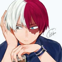 Shoto Todoroki