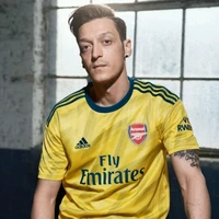 lee ozil alexander