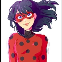 Ladybug