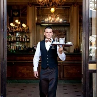 ally 1(dressed as waiter)