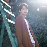 Kim Mingyu