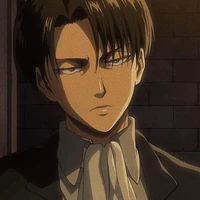 *Levi simp* ─_─