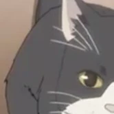 Tim